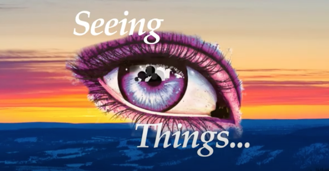 Seeing Things Video Contest